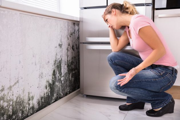 Is it mold or mildew? Learn how to spot the difference