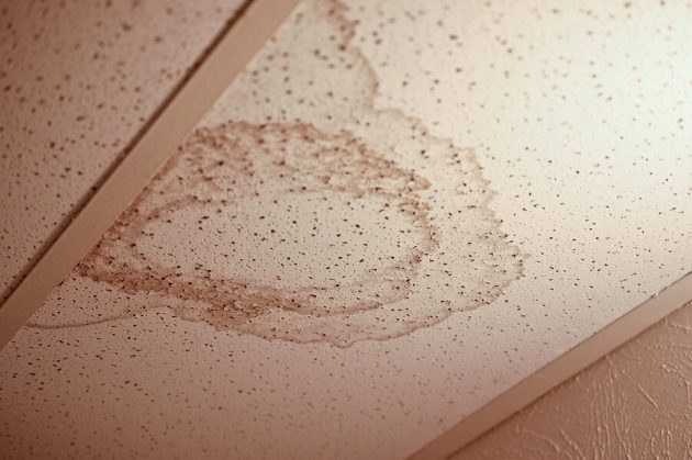 Look up – What to Do if You Have a Water Stain on Your Ceiling