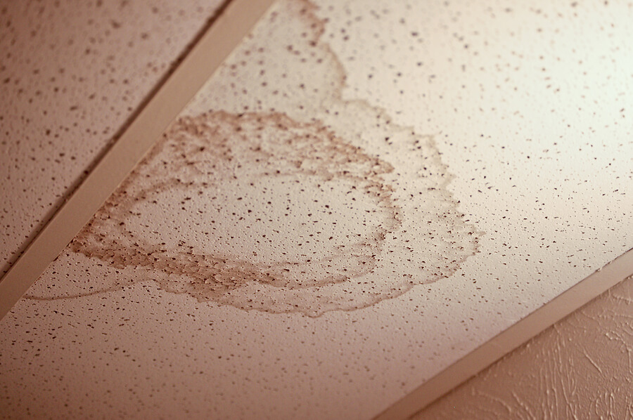 Look up - What to Do if You Have a Water Stain on Your ...